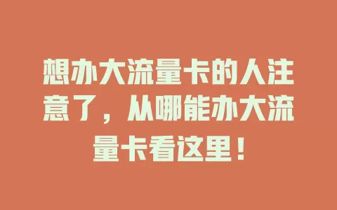 想办大流量卡的人注意了，从哪能办大流量卡看这里！
