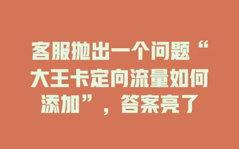 客服抛出一个问题“大王卡定向流量如何添加”，答案亮了