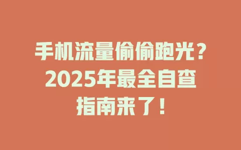 手机流量偷偷跑光？2025年最全自查指南来了！