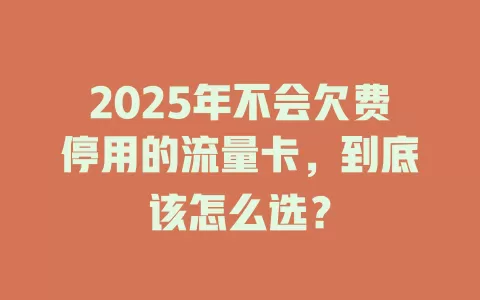 2025年不会欠费停用的流量卡，到底该怎么选？