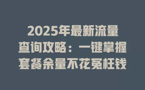 2025年最新流量查询攻略：一键掌握套餐余量不花冤枉钱