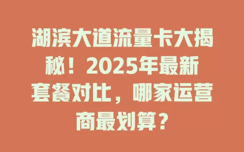 湖滨大道流量卡大揭秘！2025年最新套餐对比，哪家运营商最划算？