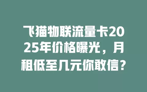 飞猫物联流量卡2025年价格曝光，月租低至几元你敢信？