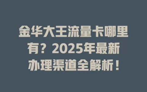 金华大王流量卡哪里有？2025年最新办理渠道全解析！