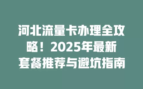 河北流量卡办理全攻略！2025年最新套餐推荐与避坑指南
