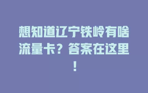 想知道辽宁铁岭有啥流量卡？答案在这里！
