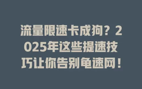 流量限速卡成狗？2025年这些提速技巧让你告别龟速网！