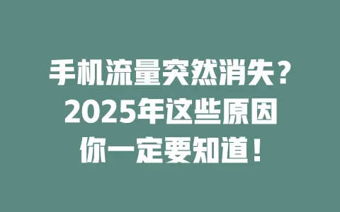 手机流量突然消失？2025年这些原因你一定要知道！