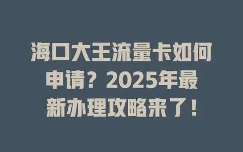 海口大王流量卡如何申请？2025年最新办理攻略来了！