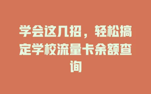 学会这几招，轻松搞定学校流量卡余额查询