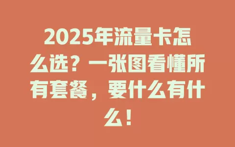 2025年流量卡怎么选？一张图看懂所有套餐，要什么有什么！