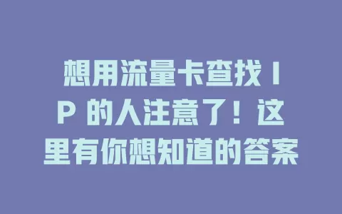 想用流量卡查找 IP 的人注意了！这里有你想知道的答案