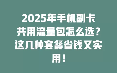 2025年手机副卡共用流量包怎么选？这几种套餐省钱又实用！