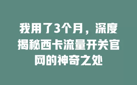 我用了3个月，深度揭秘西卡流量开关官网的神奇之处