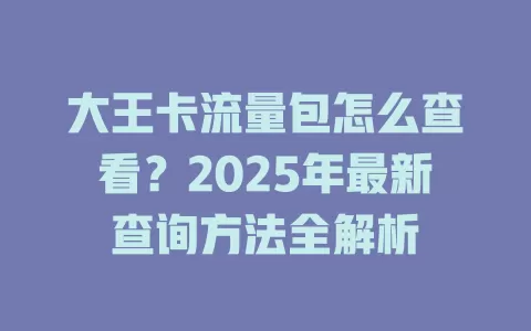 大王卡流量包怎么查看？2025年最新查询方法全解析