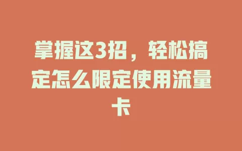 掌握这3招，轻松搞定怎么限定使用流量卡
