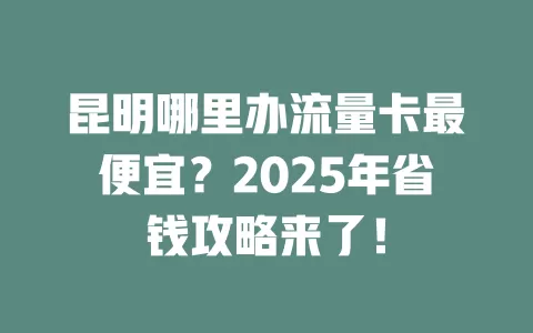 昆明哪里办流量卡最便宜？2025年省钱攻略来了！