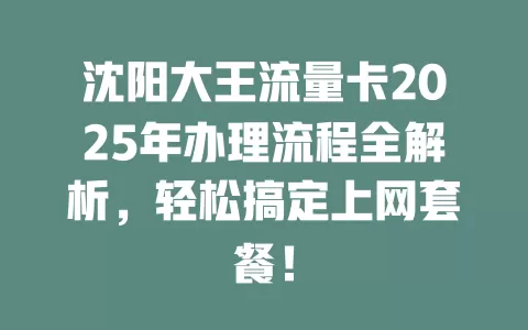 沈阳大王流量卡2025年办理流程全解析，轻松搞定上网套餐！