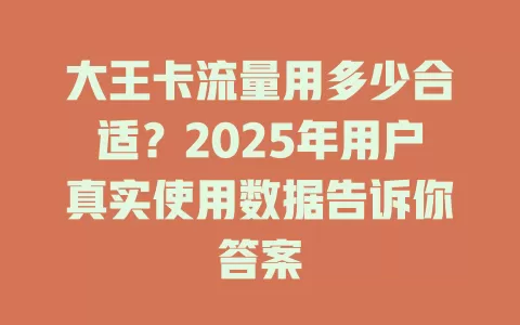 大王卡流量用多少合适？2025年用户真实使用数据告诉你答案