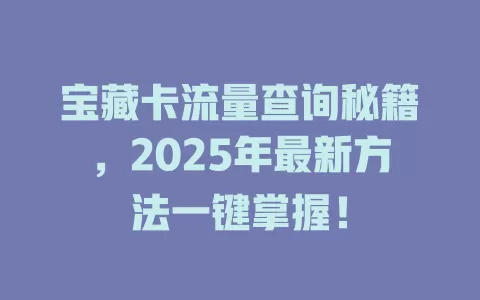 宝藏卡流量查询秘籍，2025年最新方法一键掌握！
