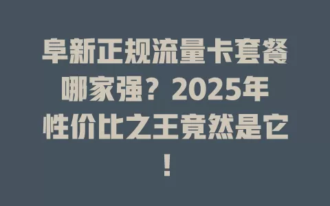 阜新正规流量卡套餐哪家强？2025年性价比之王竟然是它！