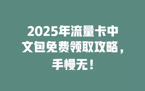 2025年流量卡中文包免费领取攻略，手慢无！
