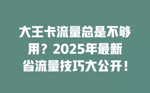 大王卡流量总是不够用？2025年最新省流量技巧大公开！