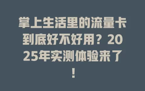 掌上生活里的流量卡到底好不好用？2025年实测体验来了！