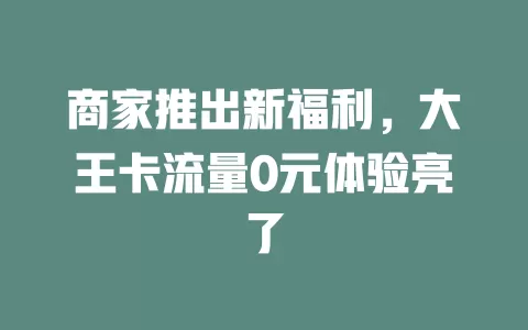 商家推出新福利，大王卡流量0元体验亮了