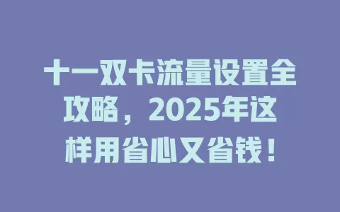 十一双卡流量设置全攻略，2025年这样用省心又省钱！