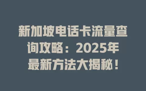 新加坡电话卡流量查询攻略：2025年最新方法大揭秘！