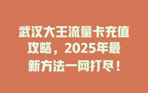 武汉大王流量卡充值攻略，2025年最新方法一网打尽！