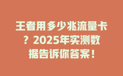 王者用多少兆流量卡？2025年实测数据告诉你答案！