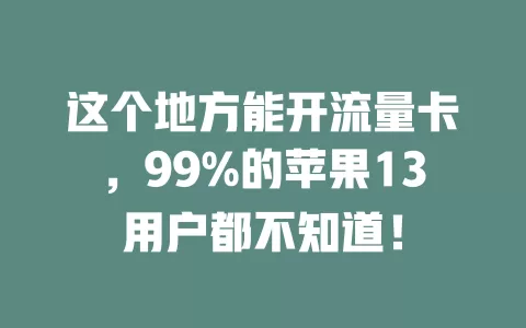 这个地方能开流量卡，99%的苹果13用户都不知道！