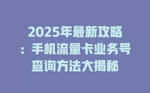 2025年最新攻略：手机流量卡业务号查询方法大揭秘