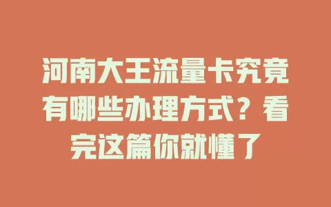 河南大王流量卡究竟有哪些办理方式？看完这篇你就懂了