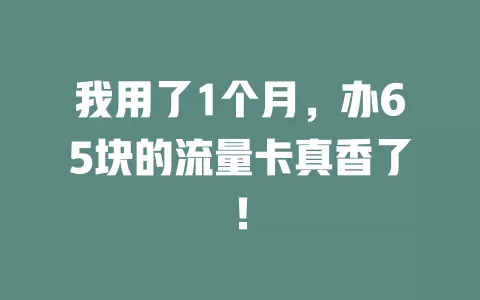 我用了1个月，办65块的流量卡真香了！