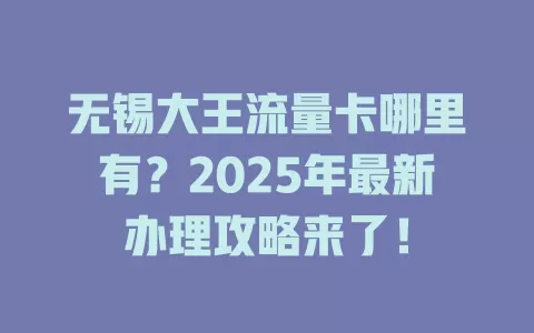 无锡大王流量卡哪里有？2025年最新办理攻略来了！