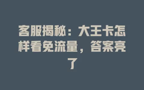 客服揭秘：大王卡怎样看免流量，答案亮了