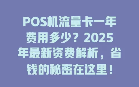 POS机流量卡一年费用多少？2025年最新资费解析，省钱的秘密在这里！