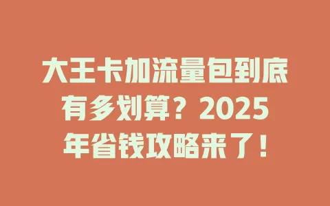 大王卡加流量包到底有多划算？2025年省钱攻略来了！
