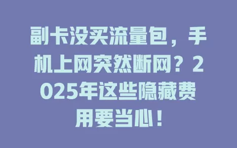 副卡没买流量包，手机上网突然断网？2025年这些隐藏费用要当心！