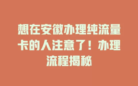 想在安徽办理纯流量卡的人注意了！办理流程揭秘