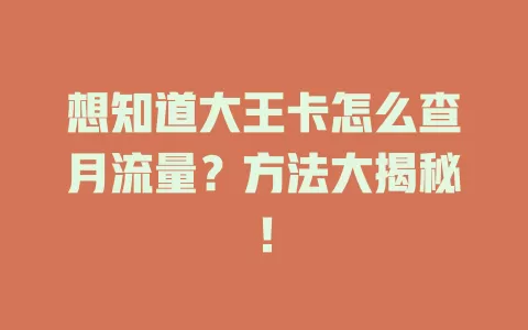 想知道大王卡怎么查月流量？方法大揭秘！