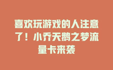 喜欢玩游戏的人注意了！小乔天鹅之梦流量卡来袭