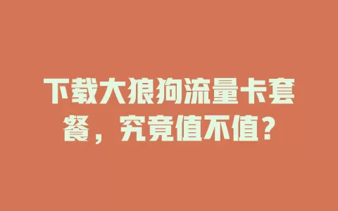 下载大狼狗流量卡套餐，究竟值不值？
