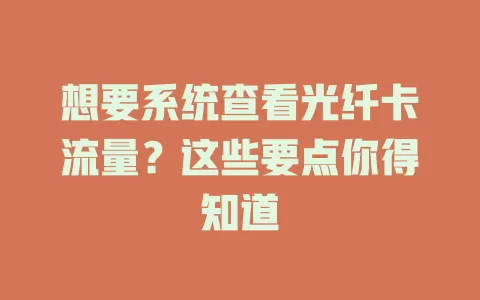 想要系统查看光纤卡流量？这些要点你得知道