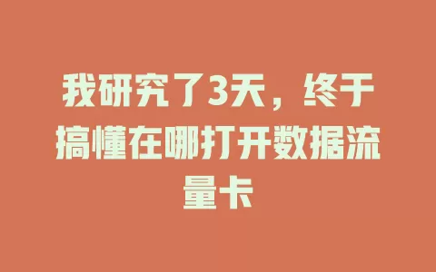 我研究了3天，终于搞懂在哪打开数据流量卡