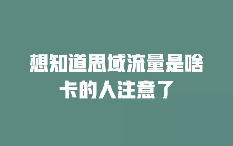 想知道思域流量是啥卡的人注意了