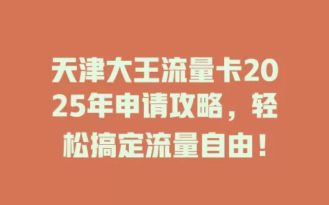 天津大王流量卡2025年申请攻略，轻松搞定流量自由！